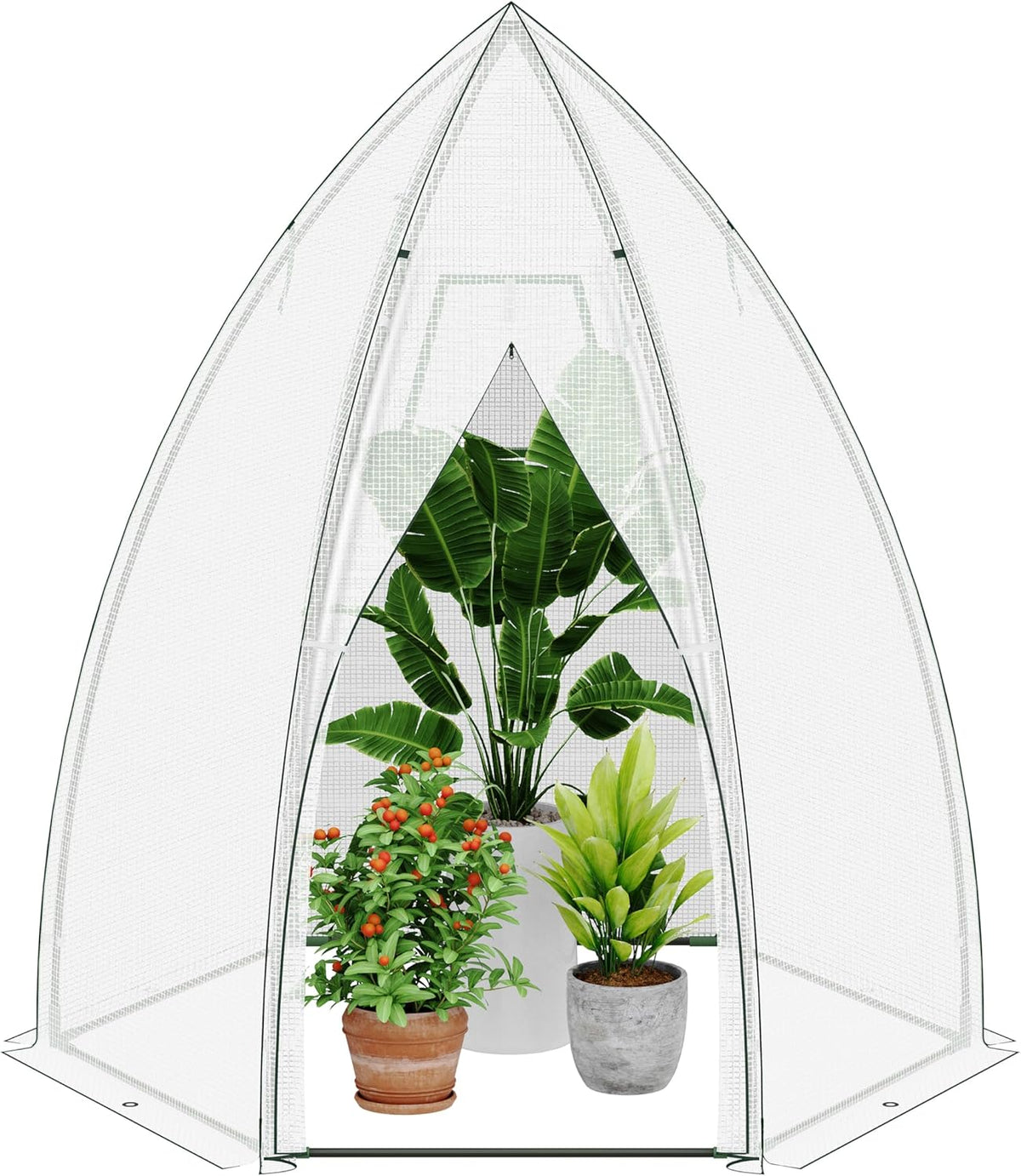 RIBELLI Foliengewächshaus mit Tür, Ø 160 × 180 cm, Tomatengewächshaus – Ansicht 2