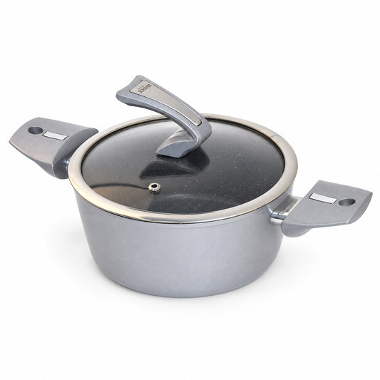SCHÄFER Bratentopf Ø 20 cm Metallic Silver – Antihaftbeschichtung, induktionsgeeignet